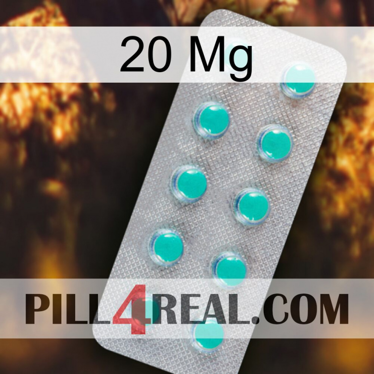 20Mg 28
